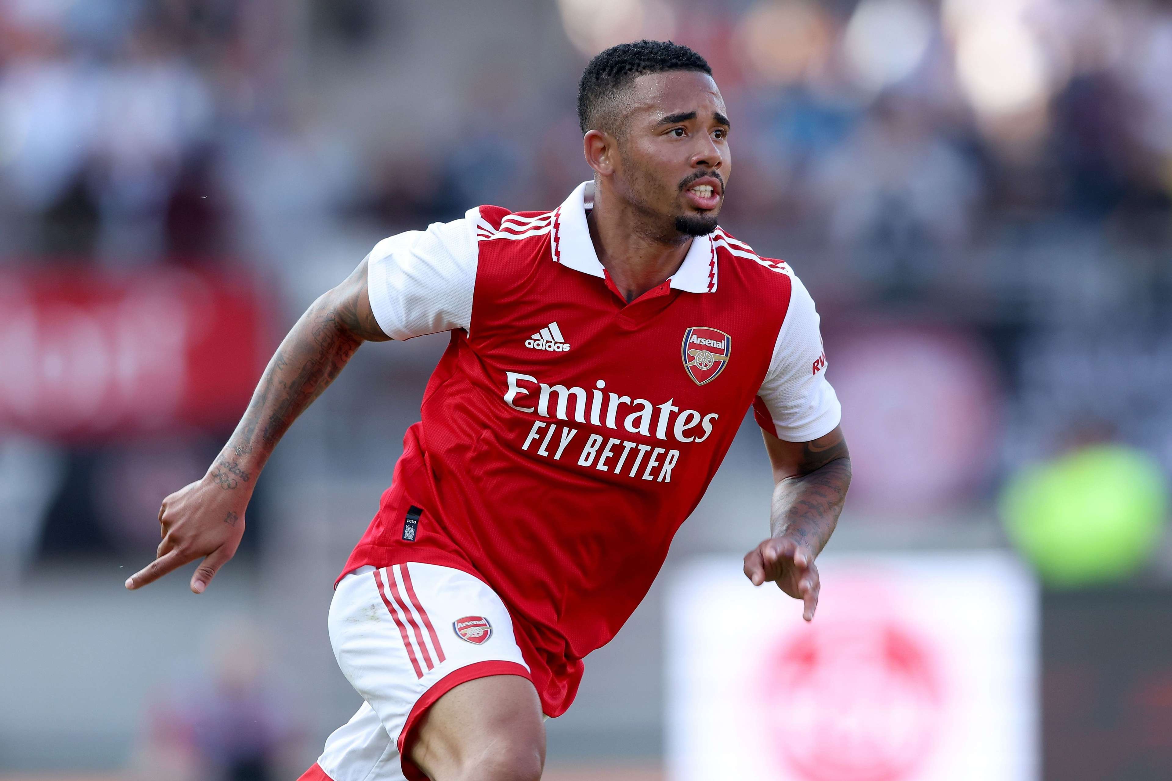 的意大利 的意大利