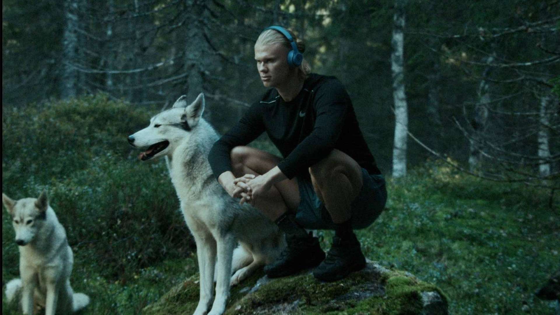 女单赛场上 女单赛场上